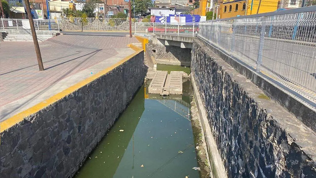 Cambia de aguas cristalinas a verdes el manantial de San Martín Zoquiapan